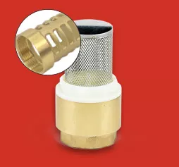 Brass Check Valves