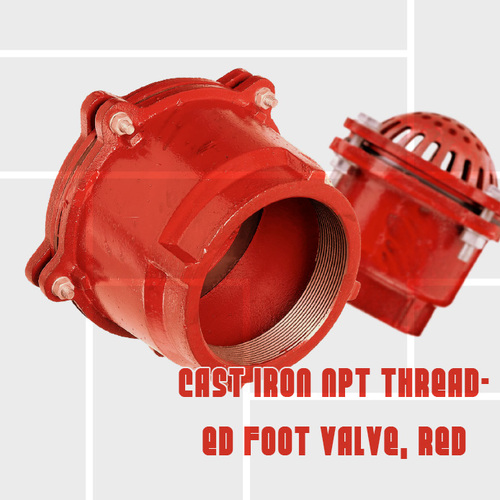 Thread foot valve cast iron coating NPT strainer