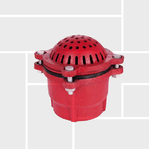 G29 Foot valve cast iron coating NPT strainer